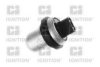 QUINTON HAZELL XEFS22 Temperature Switch, radiator fan